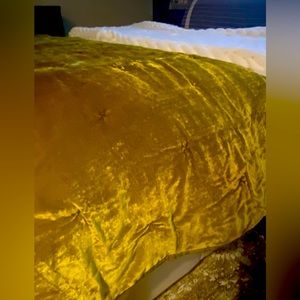 Opalhouse moss velvet full/queen comforter and 2 standard size shams.